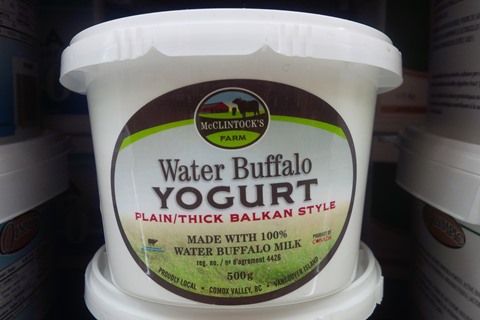McClintock's Water Buffalo Milk Yogurt